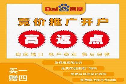 深度解析：百度竞价代理的优化策略与成功案例